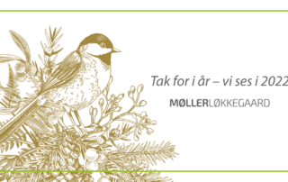 Tak for i år - vi ses i 2022!